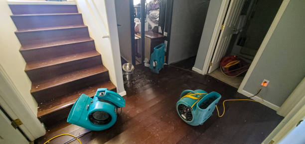 Best Residential water damage restoration  in Jarales, NM