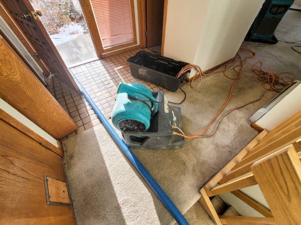 Best Water damage restoration near me  in Jarales, NM