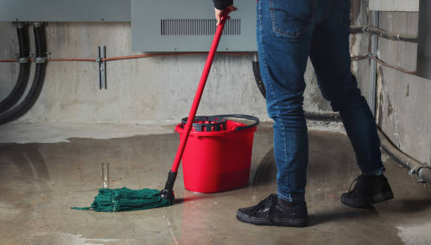 Best Flood damage cleanup  in Jarales, NM