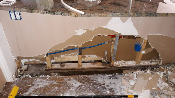 Best Water damage restoration near me  in Jarales, NM