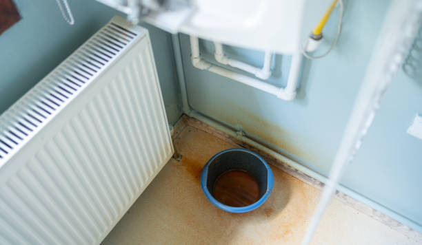 Best Professional water damage repair  in Jarales, NM