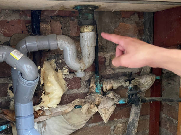 Best Residential water damage restoration  in Jarales, NM