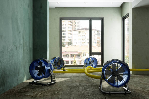 Best 24-hour water damage restoration  in Jarales, NM